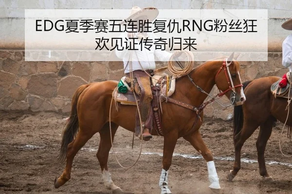 EDG夏季赛五连胜复仇RNG粉丝狂欢见证传奇归来